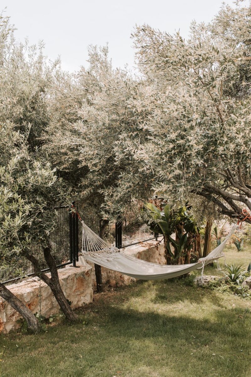 home garden with hanging hammock