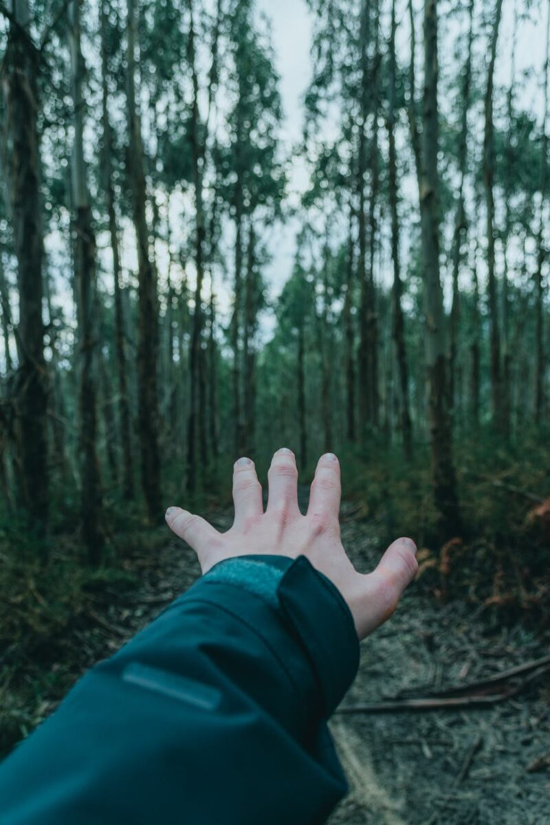 hand of crop faceless person resting in woods
